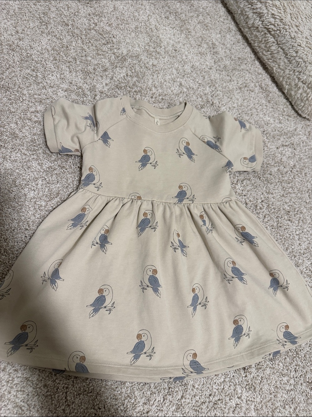 Girls Cream Dress with Blue Bird Print NWOT 2-3t